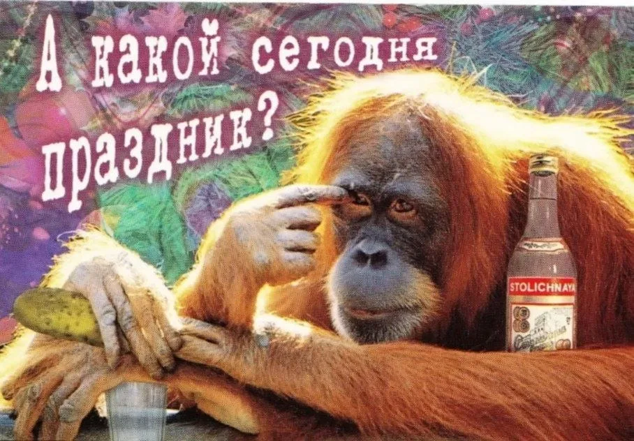 Иллюстрация к слову: Международный день гнома