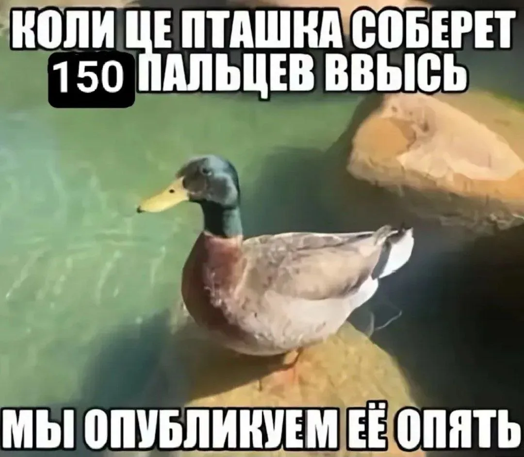 Иллюстрация к слову: Егор Регель
