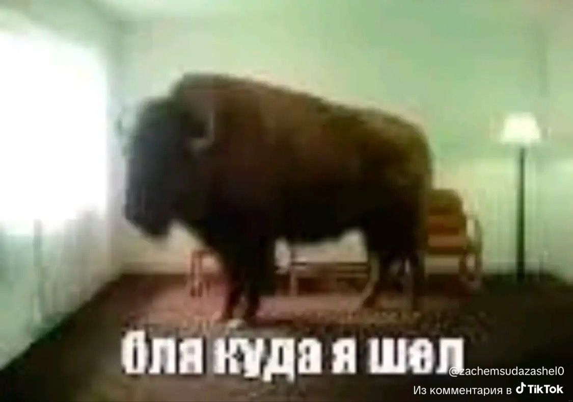 Иллюстрация к слову: Когда только разбираешься с управлением в Егороде