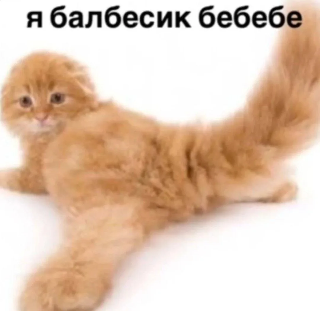 Иллюстрация к слову: Привет Егоры, я приехал к вам, своим родственникам погостит…
