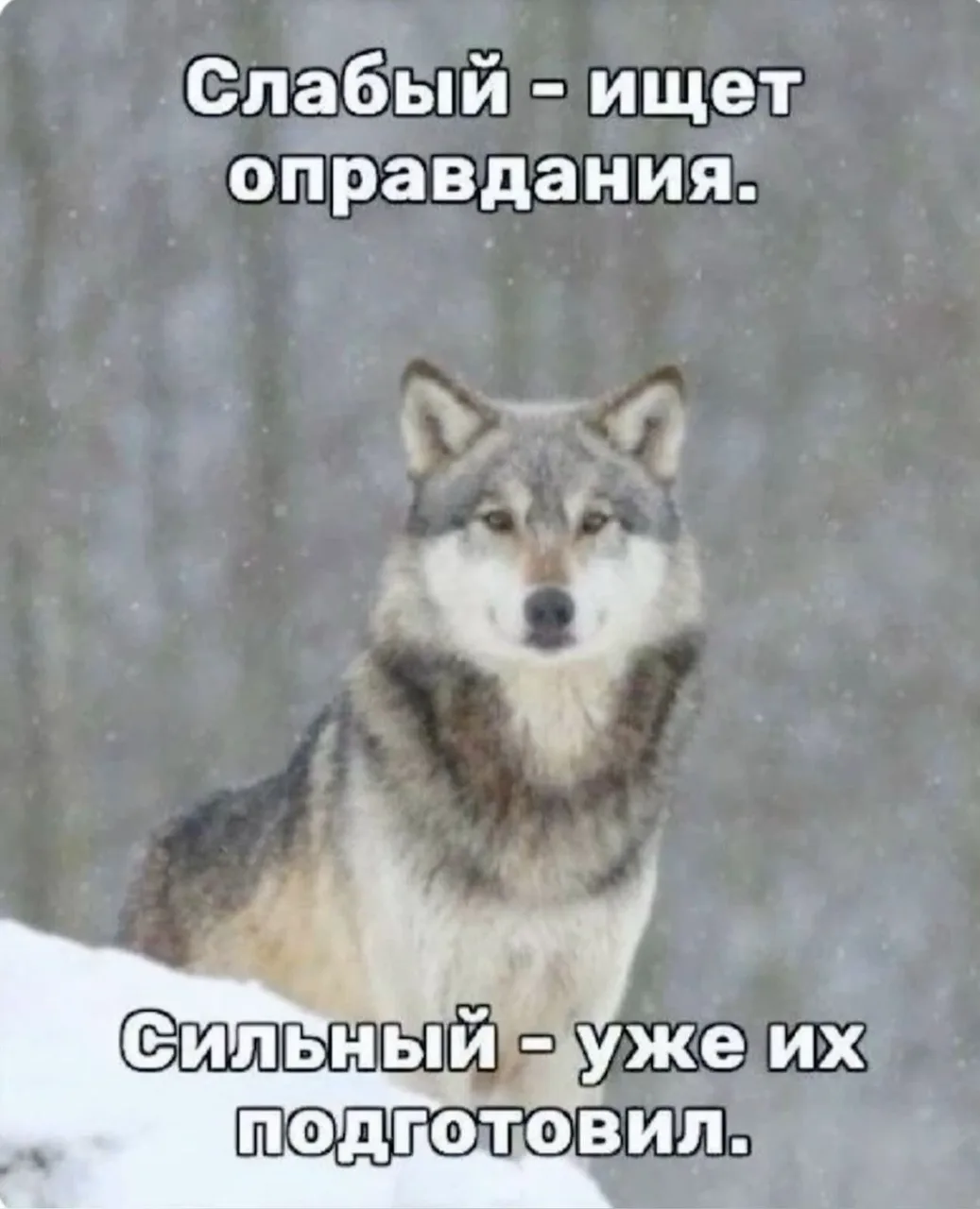 Иллюстрация к слову: Доброго времени суток егород! Вот вам в ленту немного мемчи…