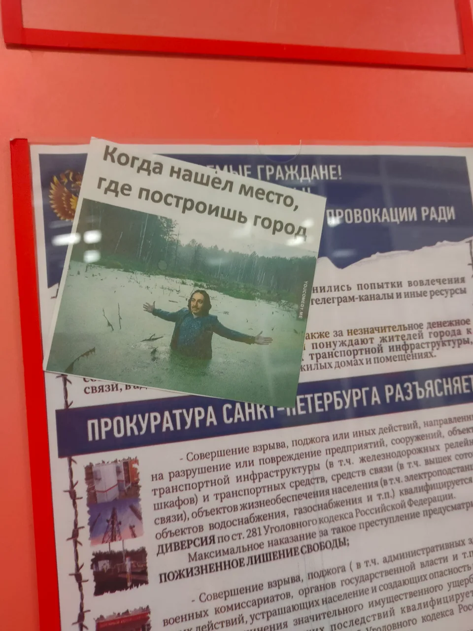 Иллюстрация к слову: Егор кун