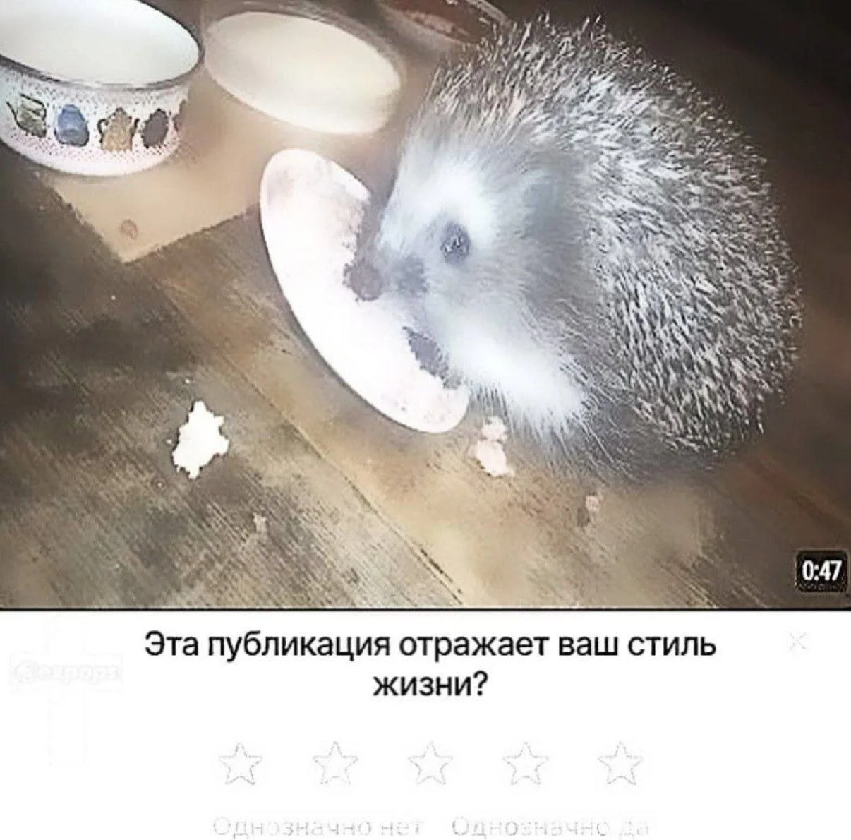 Иллюстрация к слову: Егор (не шпиён)