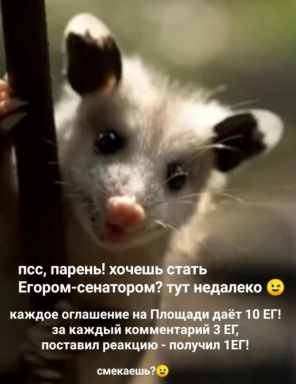 Иллюстрация к слову: Лена еГорбовская