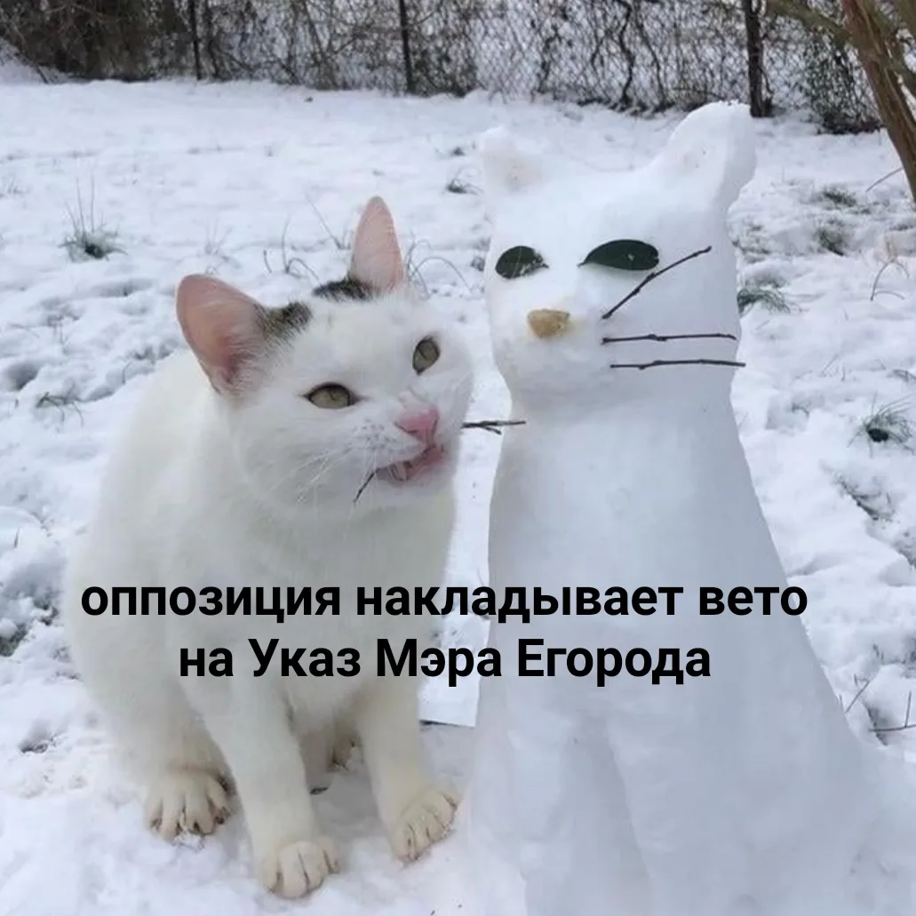 Иллюстрация к слову: #мем #мемегород