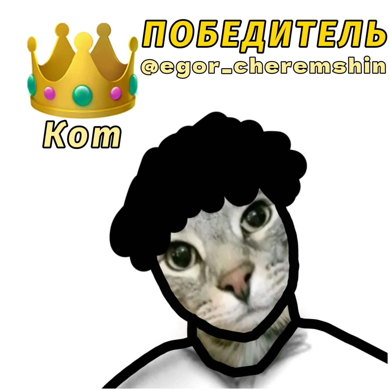 Иллюстрация к слову: В финале битвы лиц победил КОТ! Поздравляем!🎉🍾🎊 3 место…
