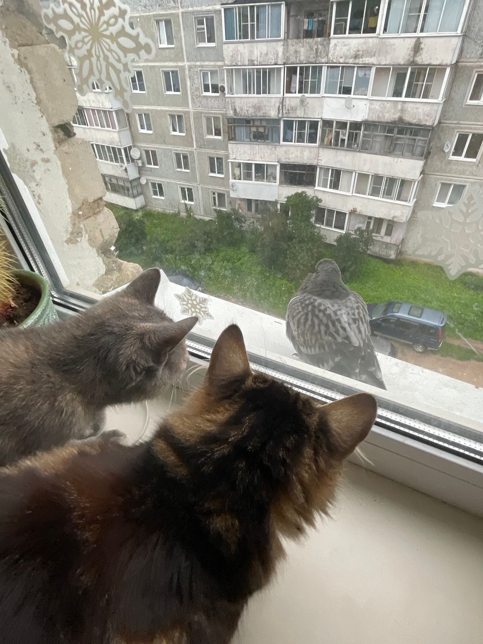 Иллюстрация к слову: Всем Егорам(Гошам) доброе утро!