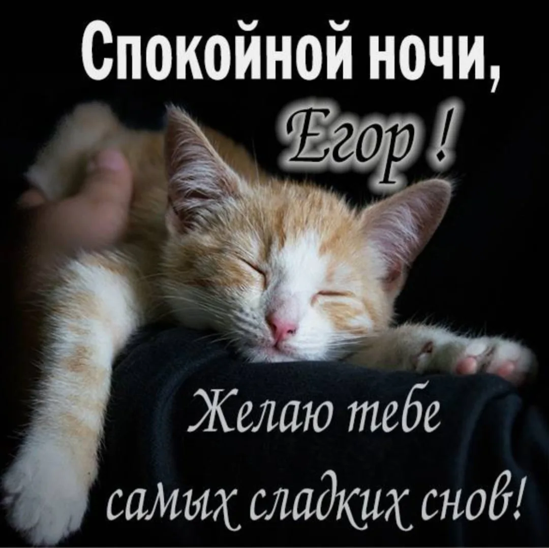 Иллюстрация к слову: Спокойной ночи всем Егорам, Юриям, Георгиям, и принятым в н…