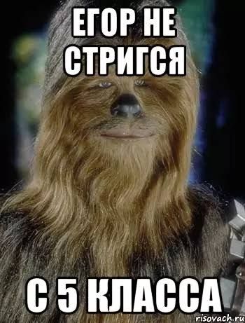 Иллюстрация к слову: Егор Лесоруб