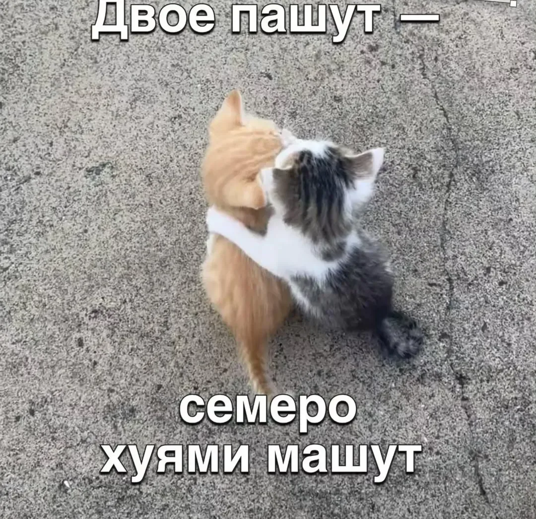 Иллюстрация к слову: Егор Гулла