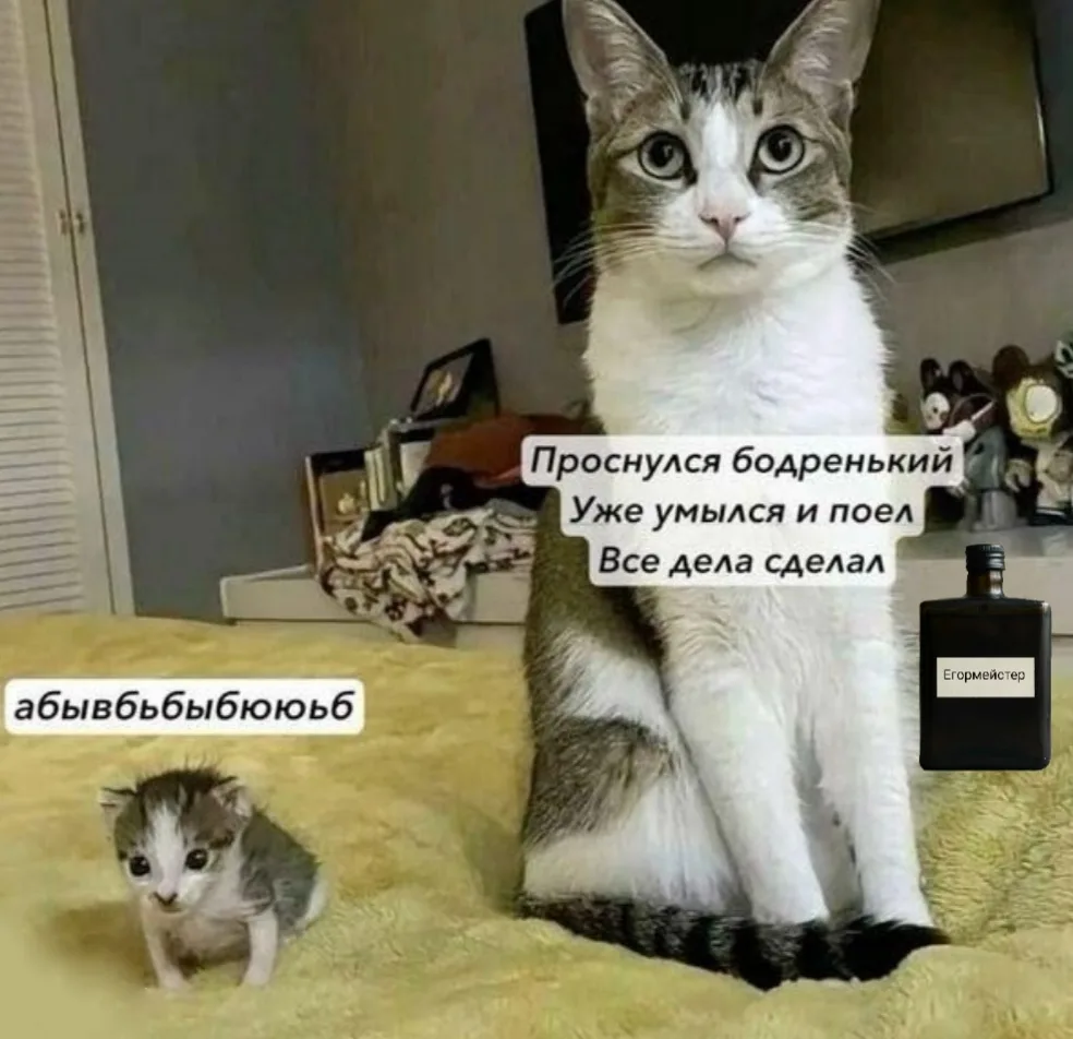 Иллюстрация к слову: Какой Егор сегодня ты?