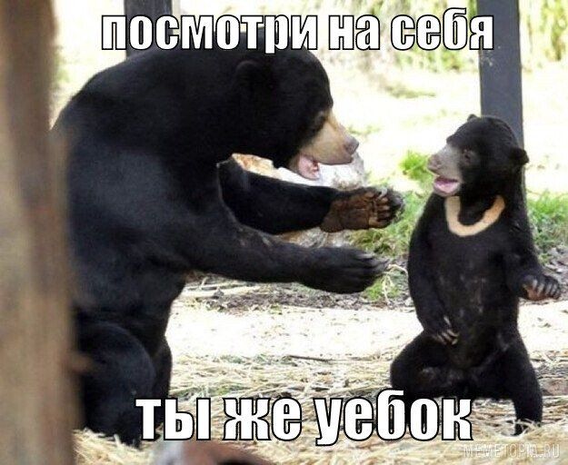 Иллюстрация к слову: Когда нашел лжеЕгора