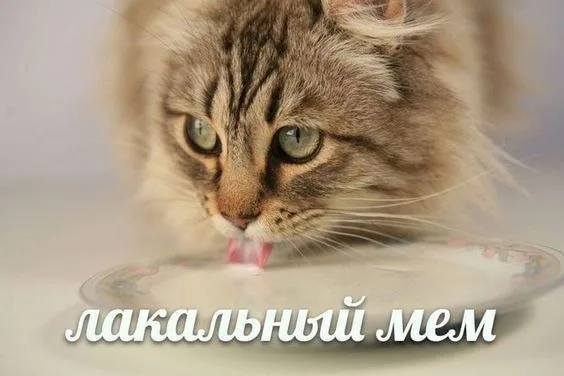 Иллюстрация к слову: Спокойно. Это просто лакальный мем.