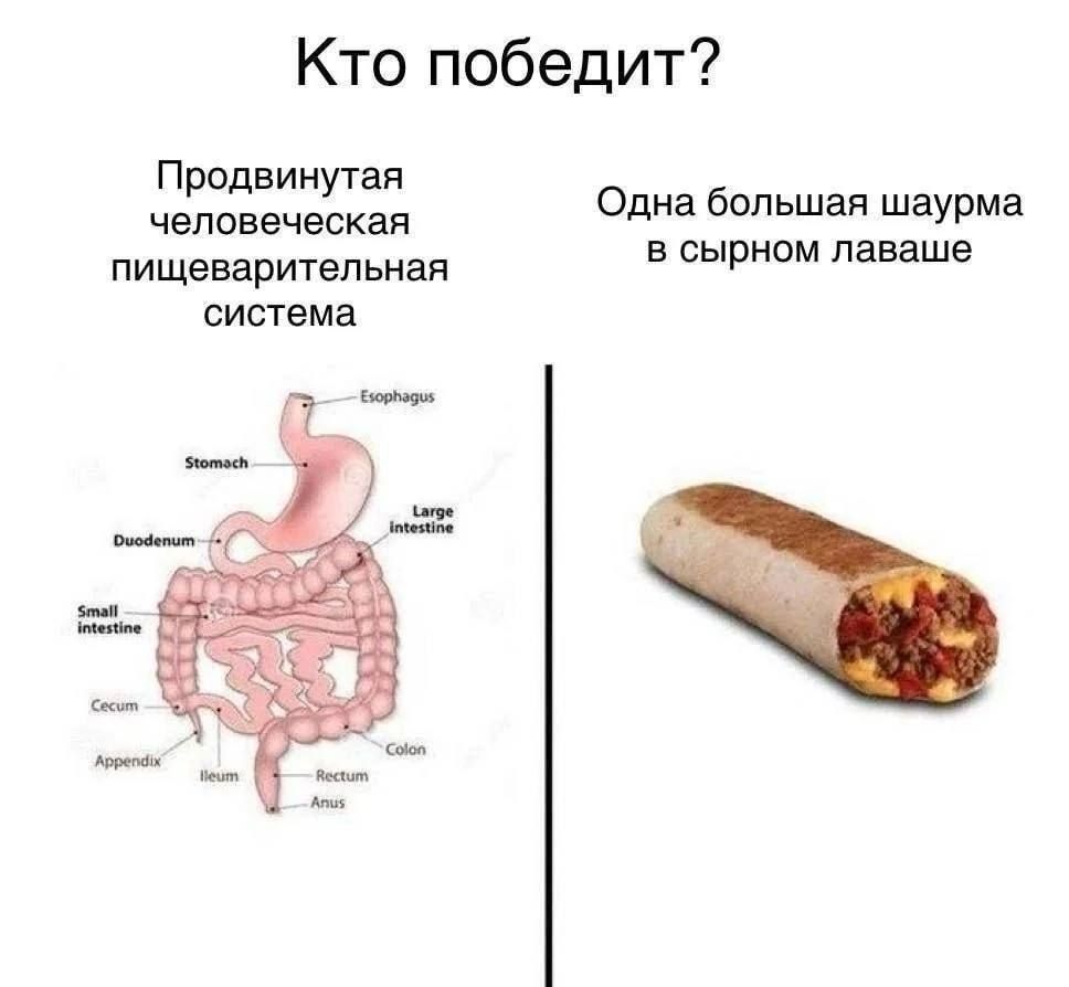 Иллюстрация к слову: 🪵🔥🌯?