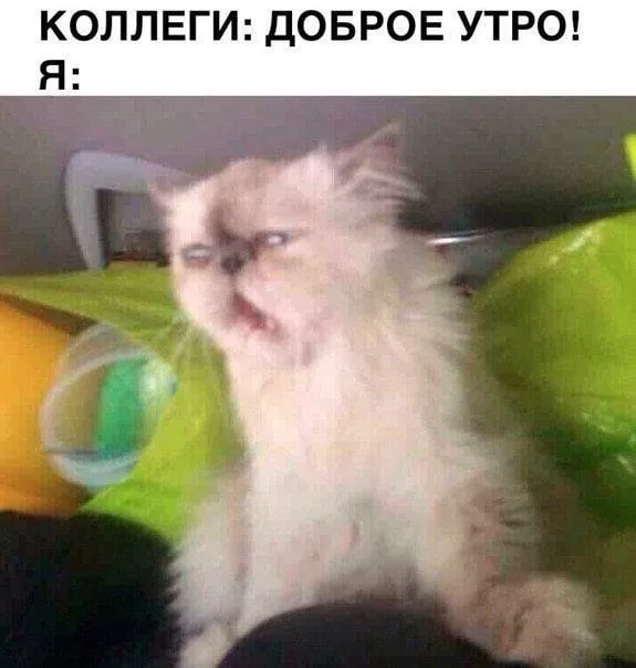 Иллюстрация к слову: Утро понедельника