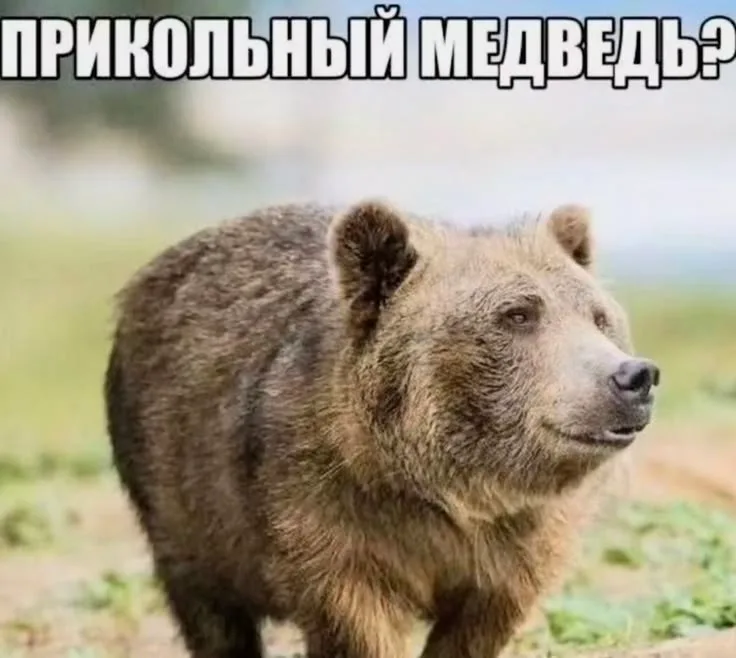 Иллюстрация к слову: Нужно ваше мнение