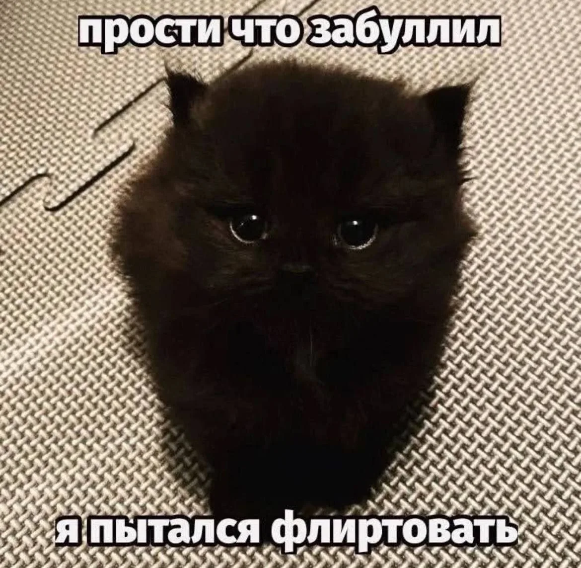 Иллюстрация к слову: Гоша