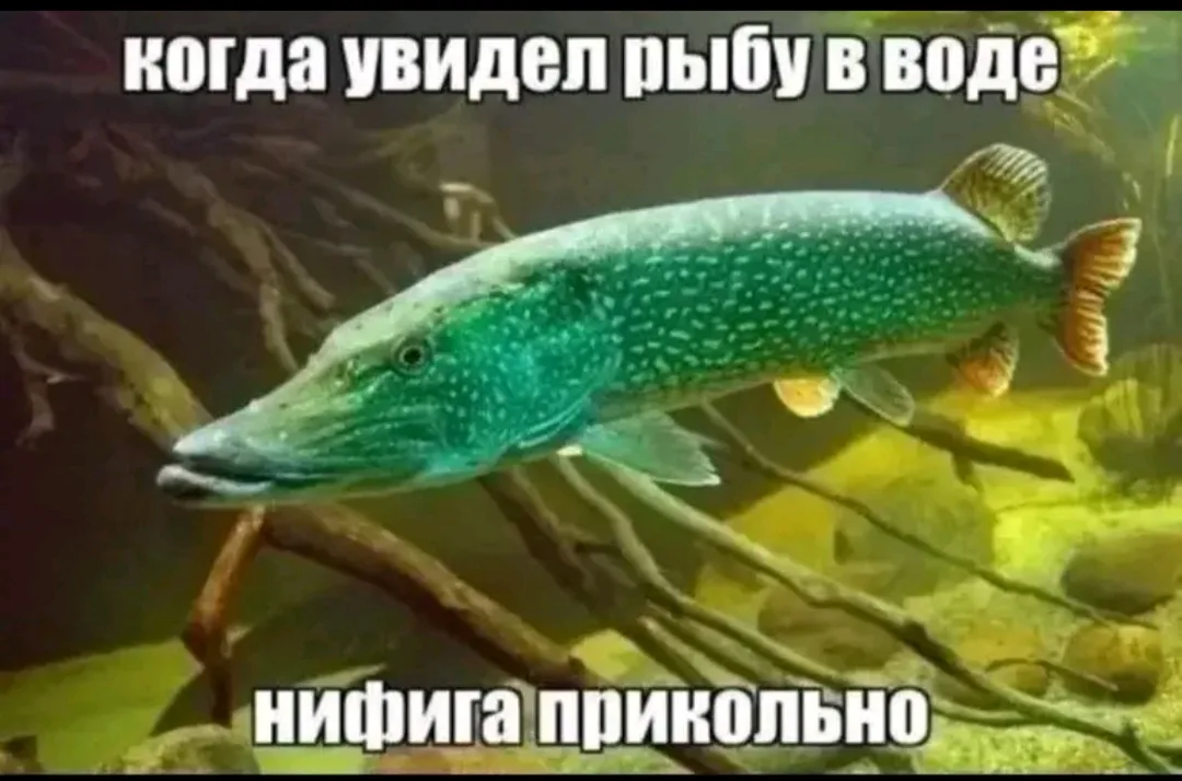 Иллюстрация к слову: Егор олух
