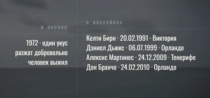 Иллюстрация к слову: Там впечатлило насколько страшные косатки страшно не любят…