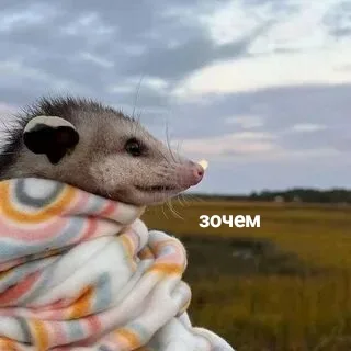 Иллюстрация к слову: Посты с Паспорта украле. 🤧 Никто не будет куда-то там свай…