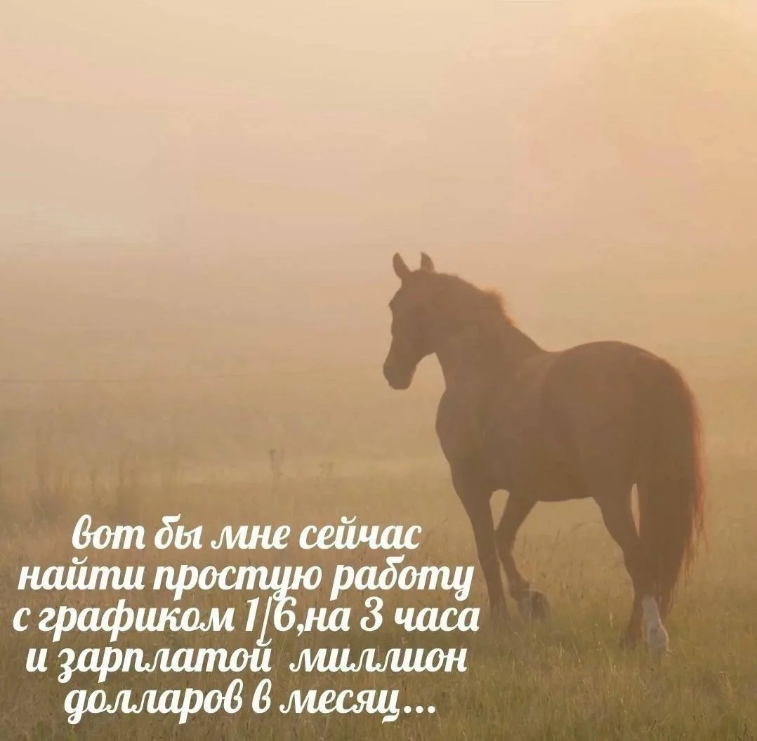 Иллюстрация к слову: Гошан Первосортов
