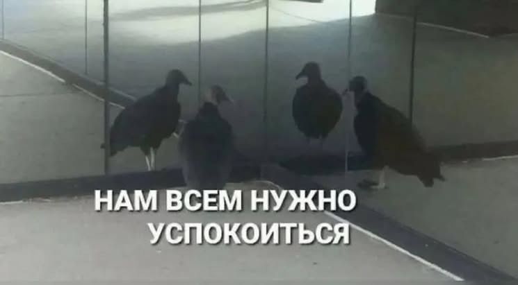 Иллюстрация к слову: Когда появляются боты