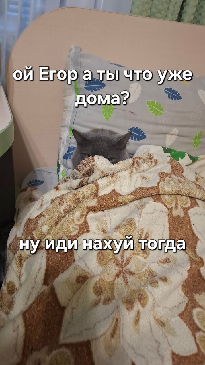 Иллюстрация к слову: Егор Кокорин