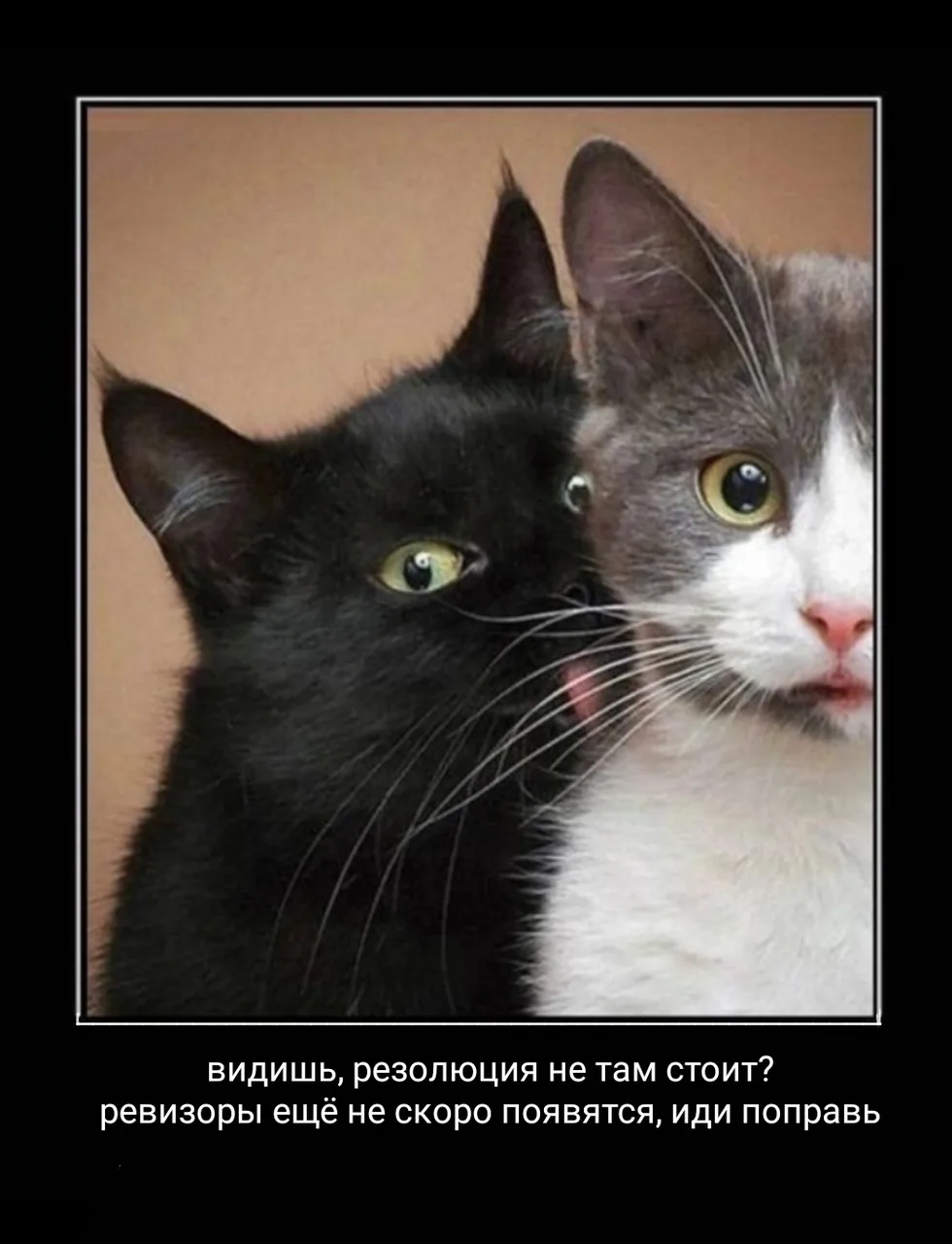 Иллюстрация к слову: #мем #оборона https://egorod.online/td