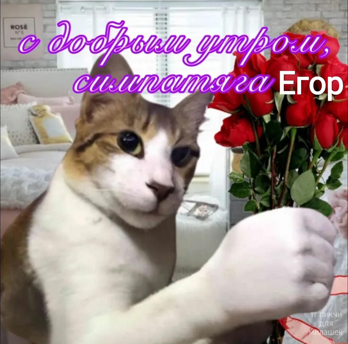 Иллюстрация к слову: Всем Егорам доброе утро!