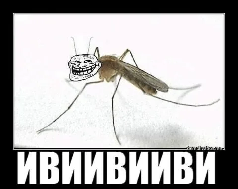 Иллюстрация к слову: Вы умеете на лету ловить комаров?