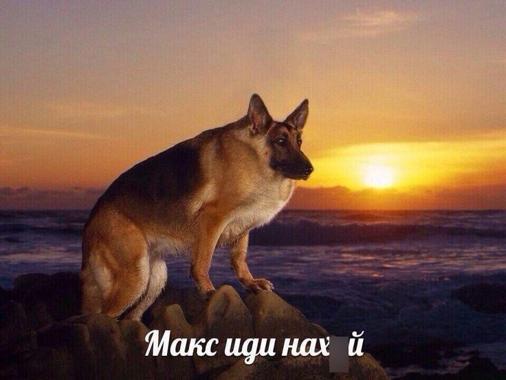 Иллюстрация к слову: Пришло время узнать: Как сообщество Егоров относится к Макс…