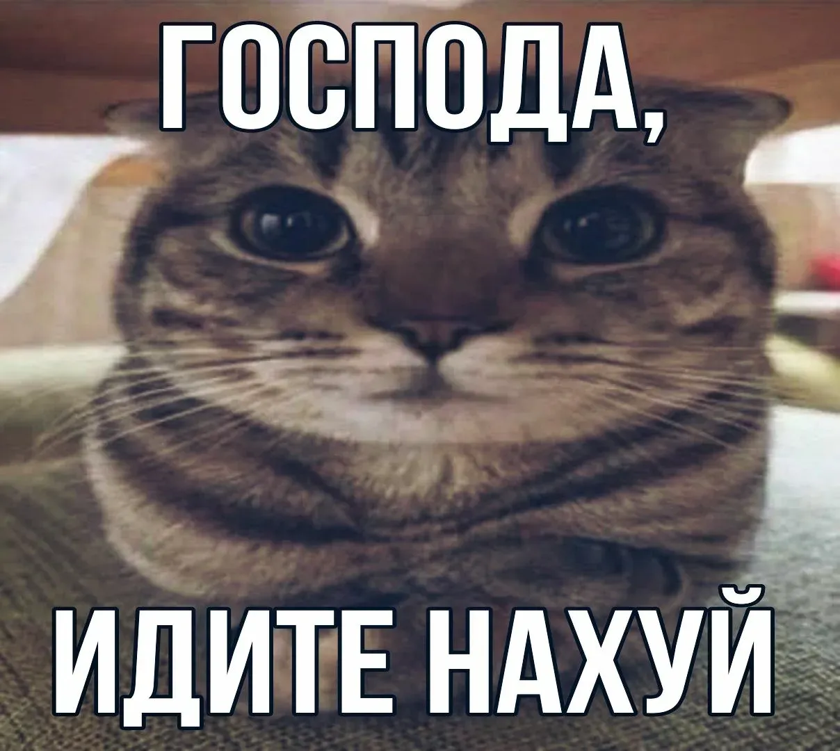 Иллюстрация к слову: Итак, ребята, у меня сегодня был прекрасный день) А именно…
