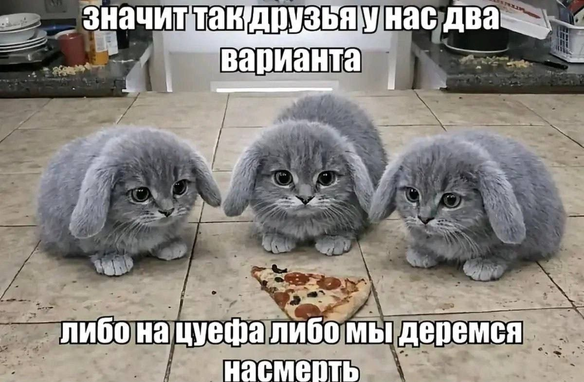 Иллюстрация к слову: бурмалкотики